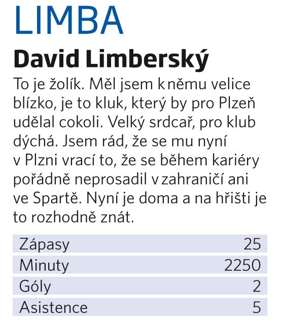 David Limberský