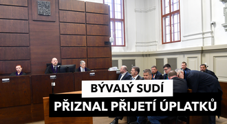 Sudí v Berbrově kauze přiznal vinu, ale... Soudce: Trochu se nám to zvrtává