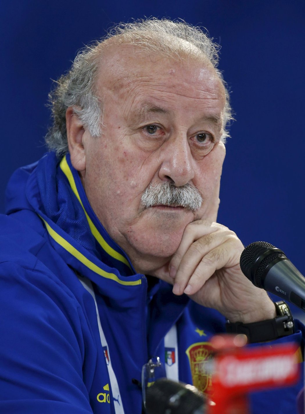 Vicente del Bosque jako reprezentační trenér Španělska