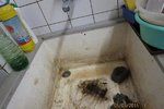 Porušování hygieny ve vietnamské restauraci v Plzni.