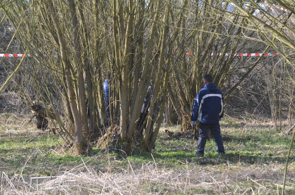 V bobří jámě mezi vrbičkami a olšovím u potoka Olešnice u Lhotky na Přerovsku leželo mrtvé novorozeně