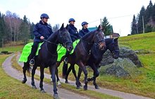 Policie zachránila ženu: Spadla z koně a bloudila po lese!