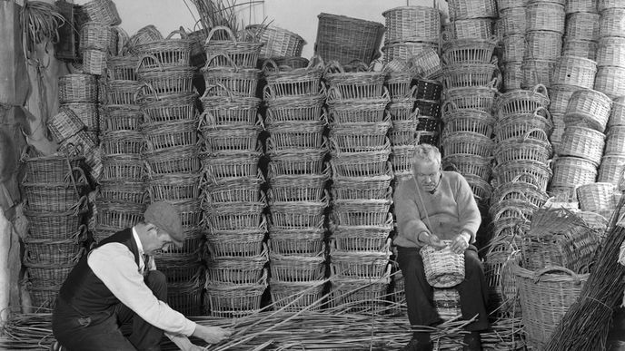 Fotogalerie Europeana se zaměřuje na prvních sto let fotografie. Návštěvníci stránek mohou hledat obrázky pořízené v 19. století a v první polovině 20. století podle času, tématu, typu fotografie nebo klíčových slov. 