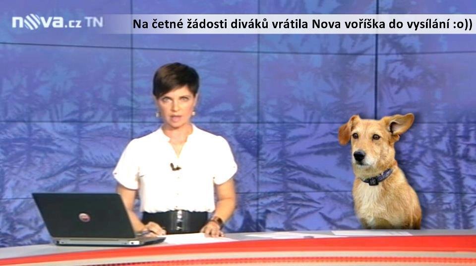 Na četné žádosti diváků vrátila Nova voříška do vysílání.