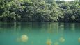 Jellyfish Lake na ostrově Palau, Mikronésie