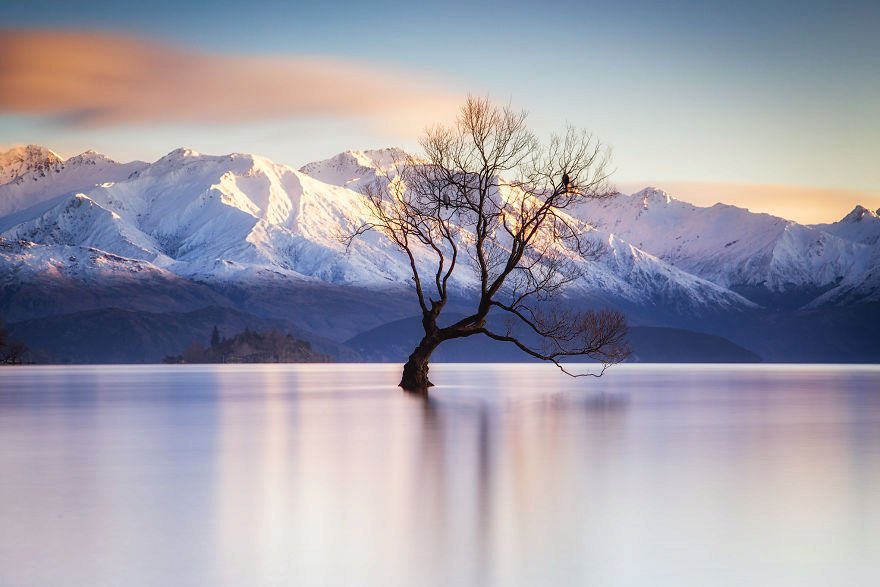 Vyhlídka Wanaka Tree, Nový Zéland