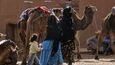 Maroko, velbloudi připravení pro turisty
