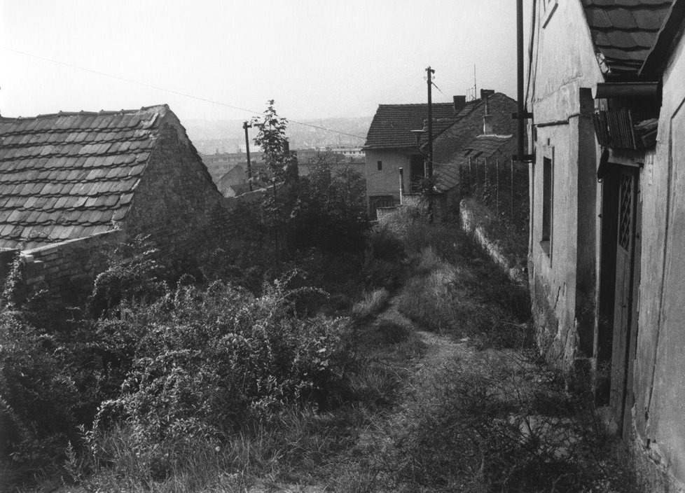 Podle uznávaného českého fotografa měly Vršovice nesporný půvab, který je od ostatních částí Prahy odlišoval.