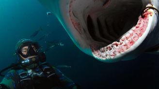 Potápěč a fotograf žraloků Richard Jaroněk: Člověk je největší parazit na planetě Zemi
