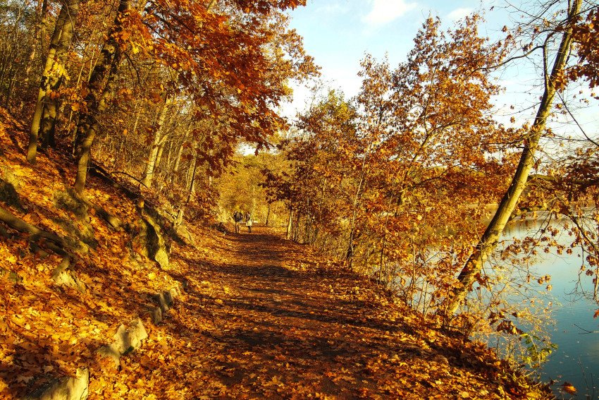 Barevný podzim, kategorie: příroda