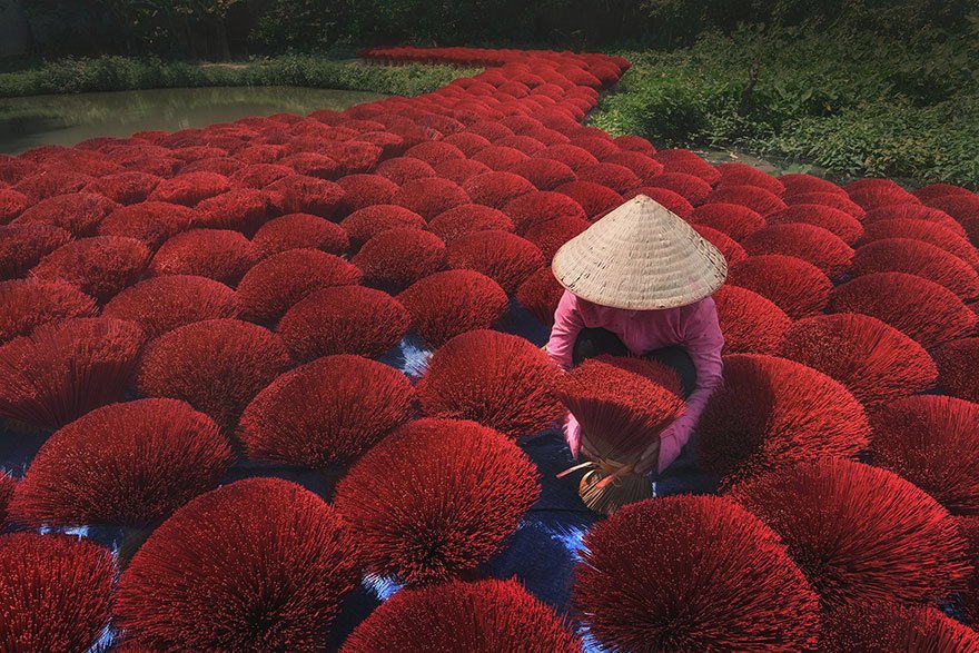 Vietnam, ocenění v kategorii barev.