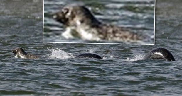 Lochnesská příšera nalezena?! Amatérský fotograf vyfotil podivné zvíře rochnící se v jezeře!