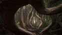 Jedna z fotografií z vítězného portfolia Adama Gibbse: Port Renfrew, Vancouver, Britská Kolumbie, Kanada, Foto: Adam Gibbs