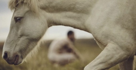 Muž, který běhá nahý s koňmi. Neuvěřitelné snímky ukazují splynutí člověka s přírodou