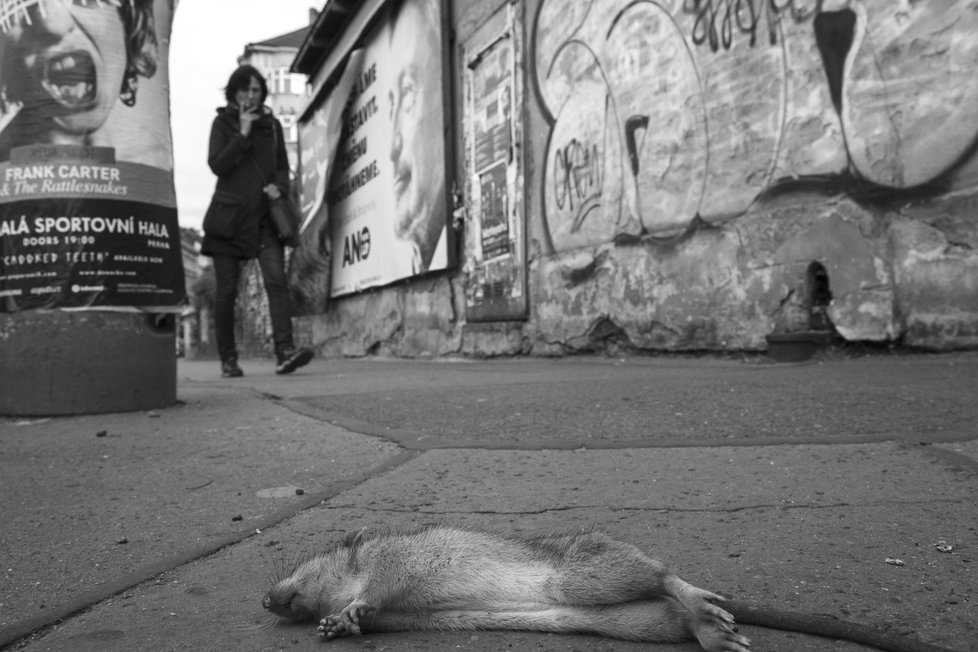 Praha fotografická se krom krás Prahy zabývá i jejími problémy. V této kategorii bodoval Zdeněk Velen, který se umístil na 1. místě.