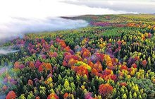 Amatérská fotografka vzlétla dronem nad hory: Podzim z ptačí perspektivy