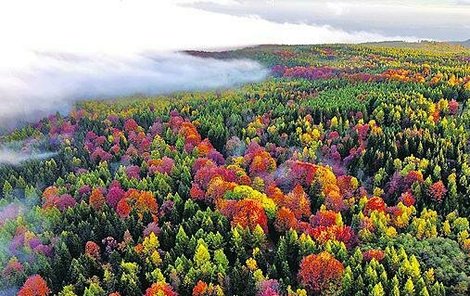 Nad mraky zahalujícími údolí září barvy podzimu.