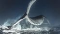 Rodney Bursie: Absolutní vítěz. Bursie zachytil velrybu nad hladinou oceánu