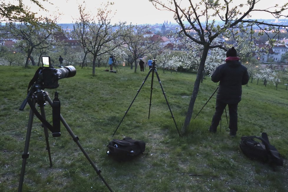 Na slunce mezi věžemi Týnského chrámu čeká řada fotografů.