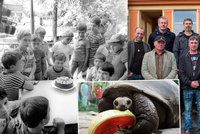 Parta kluků z fotky staré 42 let míří do Zoo Praha a čekají je zvířecí pamětníci!