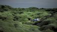 Island: lávové pole pokryté mechem