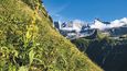 Působivé panoráma parku Vanoise s vrcholy Grande Casse a Grand Bec