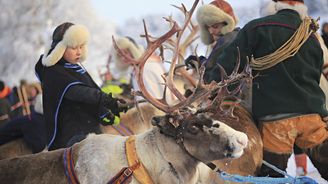 Sámský trh v Jokkmoku aneb Kde dávají polární lišky dobrou noc
