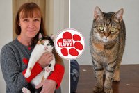 Zachraňuje kočky z ulic i množíren. Teď jde spolku Fousek o budoucnost! Potřebuje půl milionu