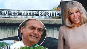 „Jsi krásná, Brigitte!“ Francouzští umělci brání svou první dámu, na most vyvěsili obrovský banner.