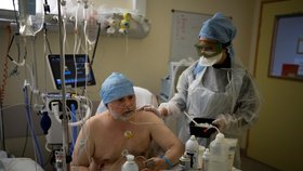 Pandemie koronaviru ve francouzských nemocnicích (prosinec 2021)