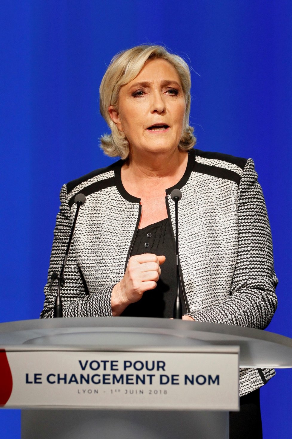 Marine Le Penová v roce 2017 prohrála francouzské prezidentské volby se současným prezidentem Emmanuelem Macronem. Ve druhém kole na svoji stranu získala jen 33,9 % voličů.