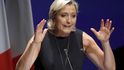 Lídryně francouzské ultrapravicové strany Marine Le Penová nepřijala rozhodnutí soudu, který ji poslal na psychiatrické vyšetření.