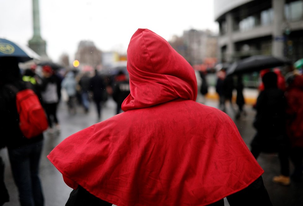 V Paříži se v nedělním dešti sešlo několik tisíc členů hnutí takzvaných červených šátků na podporu „demokracie a institucí“. (27.1.2019)