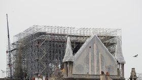 Nad pařížskou katedrálu Notre-Dame, které minulý týden shořela střecha i s krovem, začali lezci natahovat provizorní ochrannou plachtu. Meteorologové totiž na následující dny předpovídají vydatný déšť. (23.4.2019)