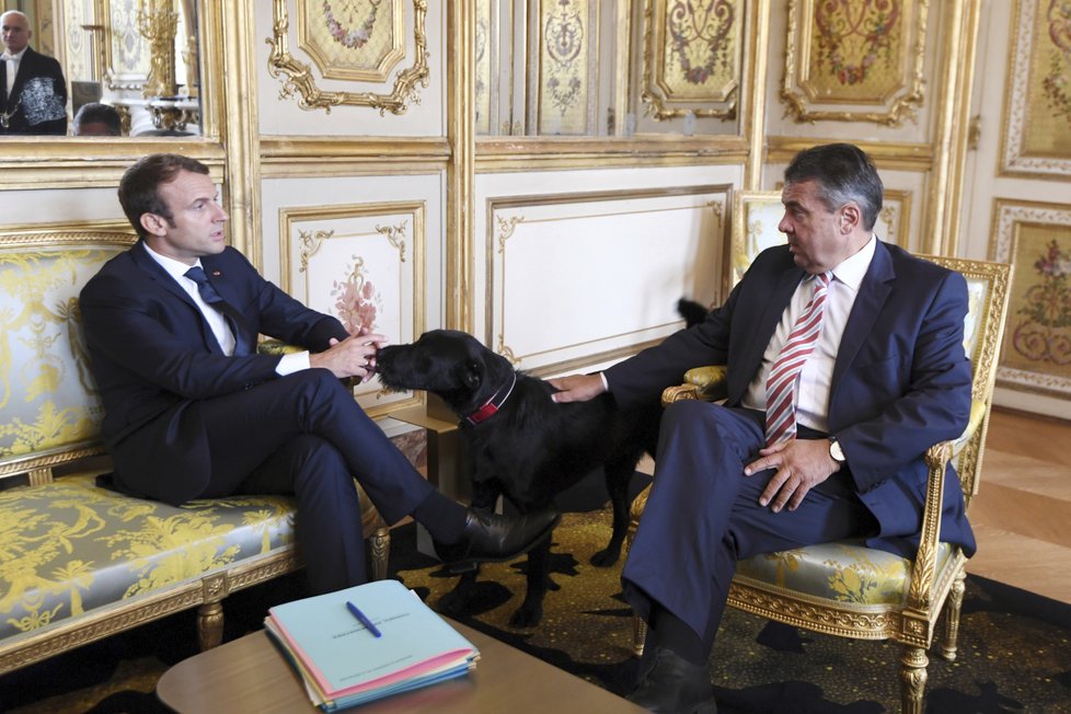 Prezident Macron se psem Nemem