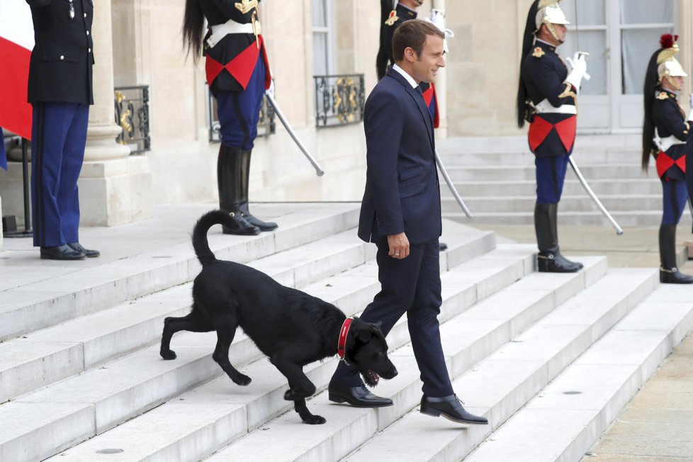 Prezident Macron se psem Nemem