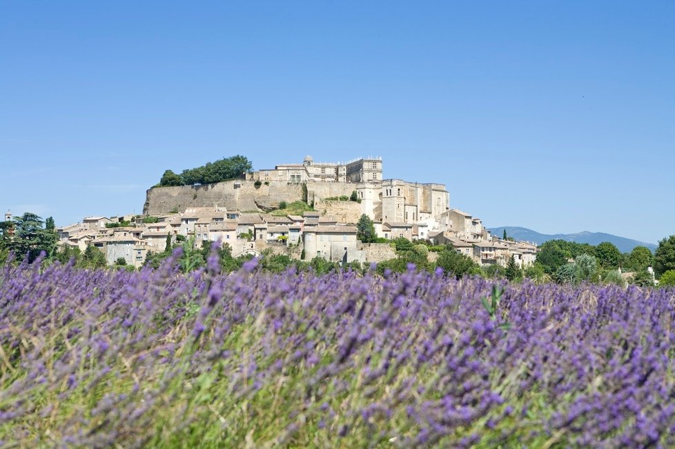 Levandule k Provence neodmyslitelně patří.