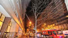 Požár, který propukl 2. ledna na předměstí Paříže