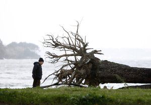 Španělsko i Francii trápí silné bouřky. Muž zemřel při odstraňování stromu