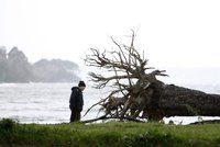 Španělsko i Francii trápí silné bouřky. Muž zemřel při odstraňování stromu