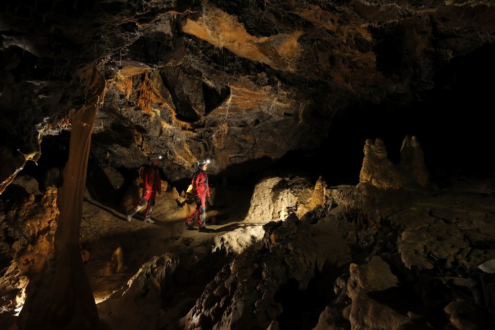 Ve Francii skončil vědecký experiment, 15 lidí strávilo 40 dní ve tmě (24. 4. 2021)