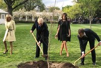 Žádná tragédie, pošleme nový, zhodnotil Macron uhynulý dub v Bílém domě