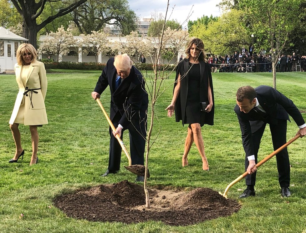 Trump s Macronem zasadil mladý dub minulý týden během návštěvy francouzského prezidenta v Bílém domě.