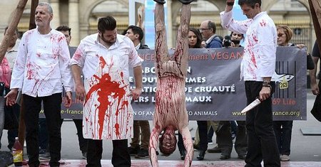 Některé protesty francouzských veganů jsou dost brutální.
