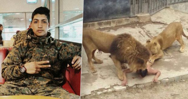 Brutální sebevražda v zoo: Naháč skočil mezi lvy. Věřil, že je prorok a přijde apokalypsa