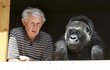 Zoologové bydlí doma s gorilou
