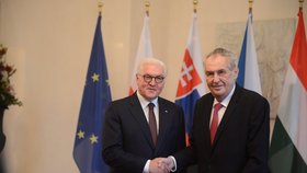 Prezident Miloš Zeman se účastní v Německu oslav 30 let od pádu Berlínské zdi. Přivítal ho jeho německý protějšek Frank-Walter Steinmeier