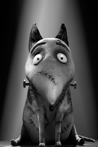 Frankenweenie: Domácí mazlíček