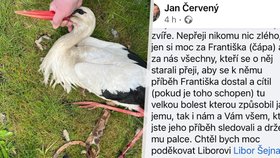 Dojemná slova o smrti čápa Františka.