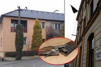 Sebevražda syna myslivce: Policie vyšetřuje otce mrtvého Františka (†12)!